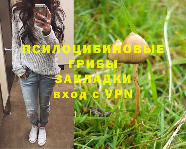 герыч Алзамай