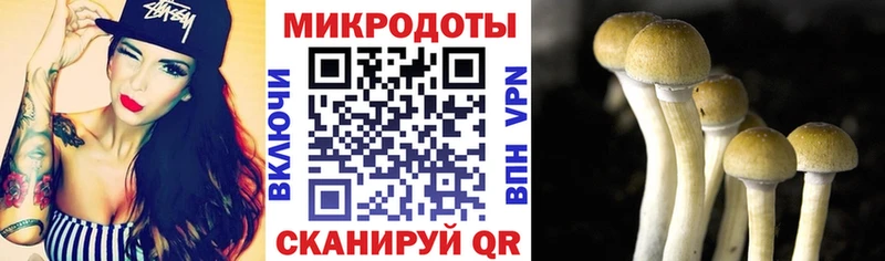 маркетплейс Telegram  mega tor  Злынка  Галлюциногенные грибы ЛСД 
